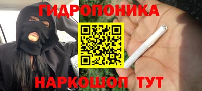 ГАЛЛЮЦИНОГЕННЫЕ ГРИБЫ Владимир