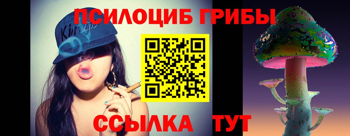 Тамбов  Галлюциногенные грибы Psilocybine cubensis  купить   Вход с VPN 